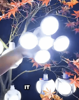 Solar Folding Lantern Light